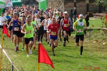 Na zdjęciu duża grupa biegaczy.