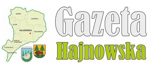Z lewej strony banera widniej zarysowany kontur Powiatu Hajnowskiego, poniżej herby Urzędu Miasta Hajnówka i Starostwa Powiatowego. Z prawej strony widnieje dużyszary napis  Gazeta, poniżej zielony - Hajnowska.