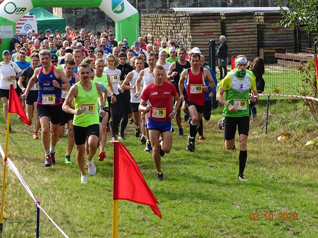Na zdjęciu duża grupa biegaczy.